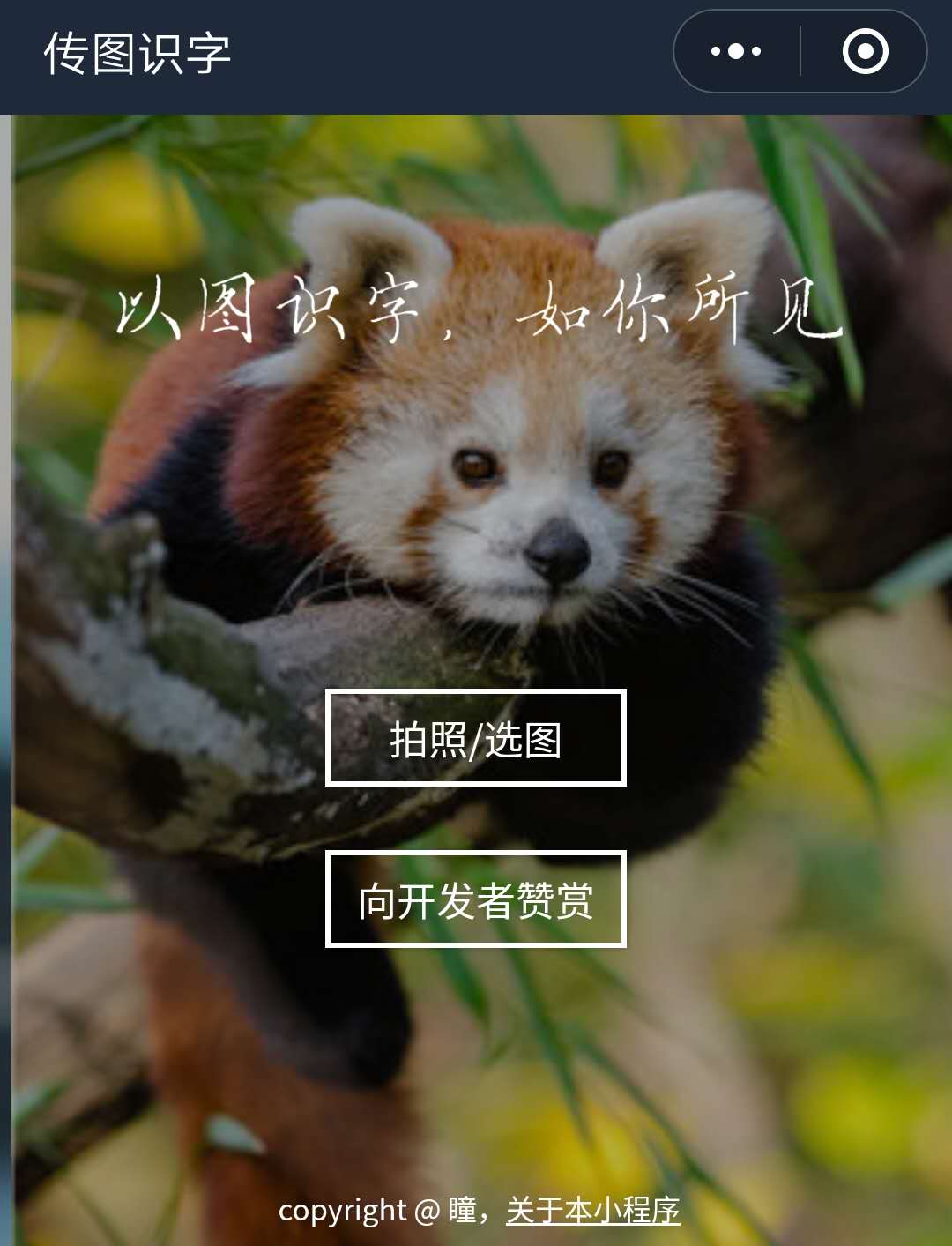 微信小程序下单怎么做到快速盈利,微信哪些小程序每天都有收益