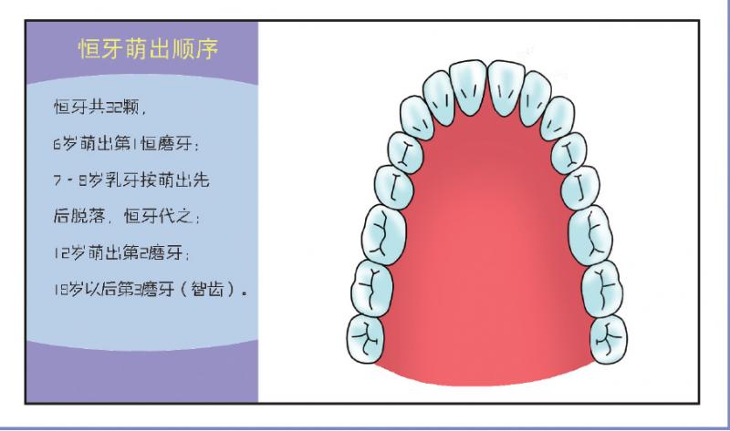 崔玉涛讲自愈,崔玉涛口腔护理方法