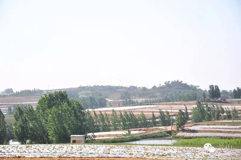 让农村变有钱,农民富起来的农村