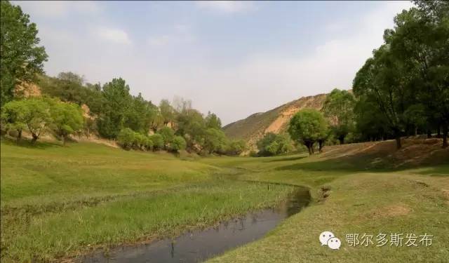 沙漠大峡谷风景区,鄂尔多斯沙漠峡谷