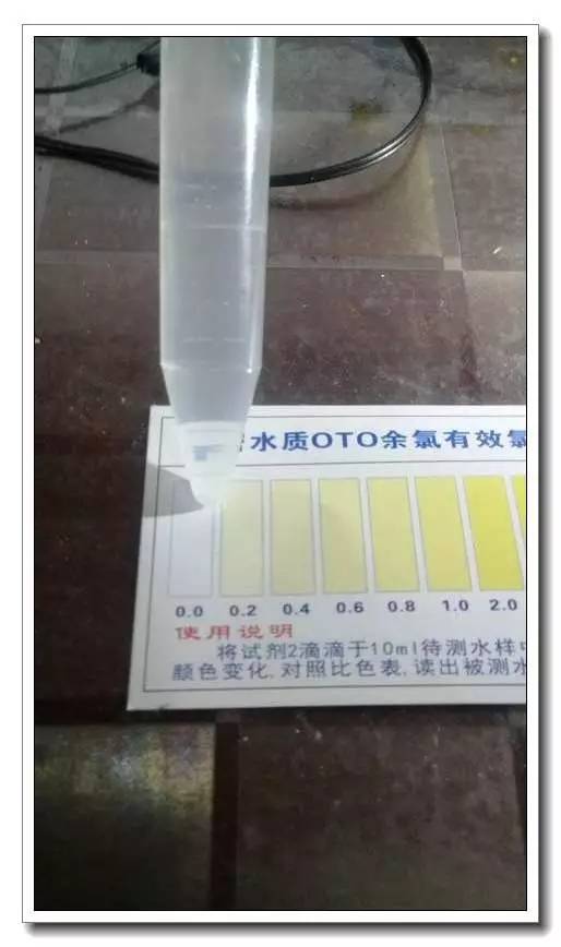 自来水快速去除氯,怎样才能清除自来水里的氯