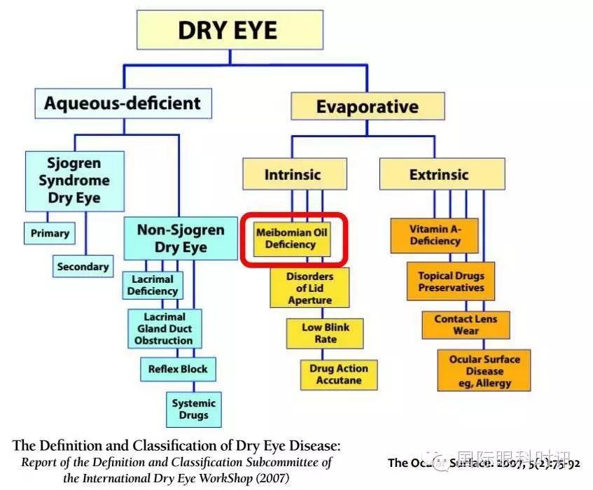 角膜会2016李炜教授:EDA基因突变鼠:一种新的睑板腺功能障碍相关性干眼动物模型