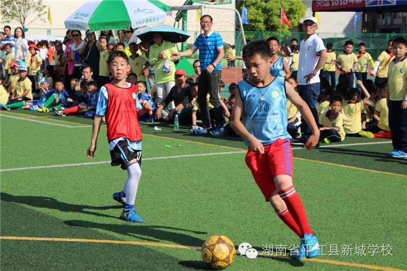 孩子在学校很好学习,孩子在新学校读书