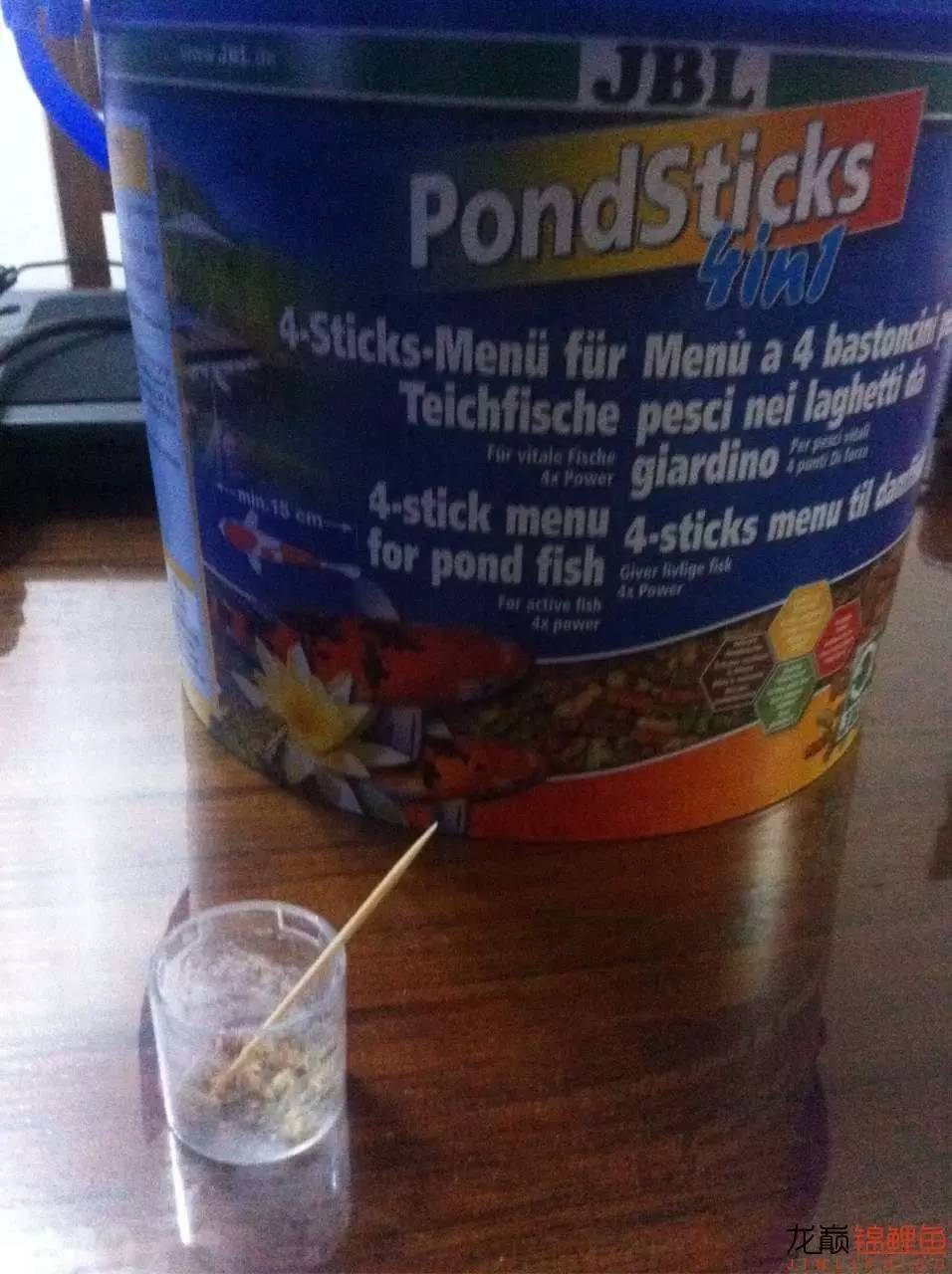 锦鲤治疗烂身烂尾烂嘴全过程,锦鲤烂嘴可以用土霉素吗