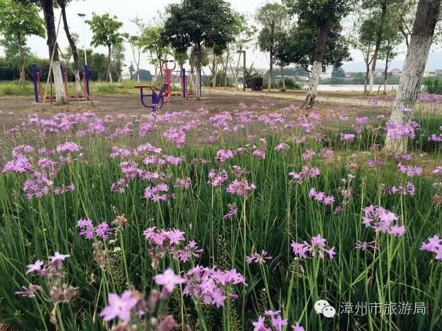 杭州西溪生态公园,西溪郊野公园好玩吗