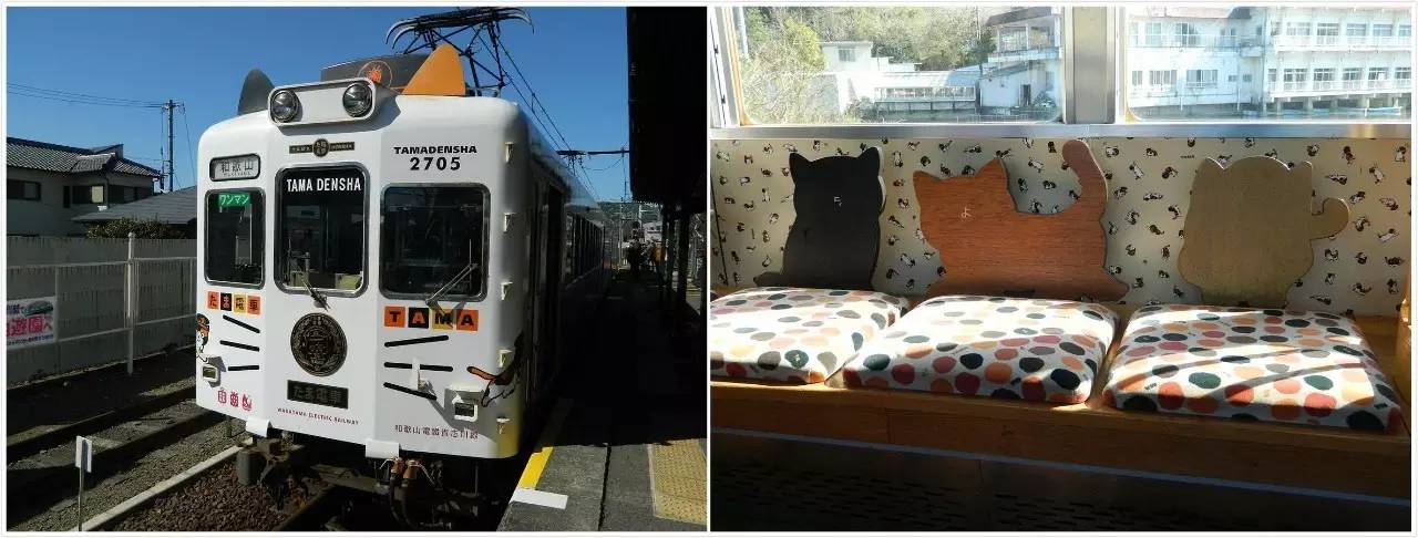 百万级帖主的“再度进击”|西日本，你不该错过这些