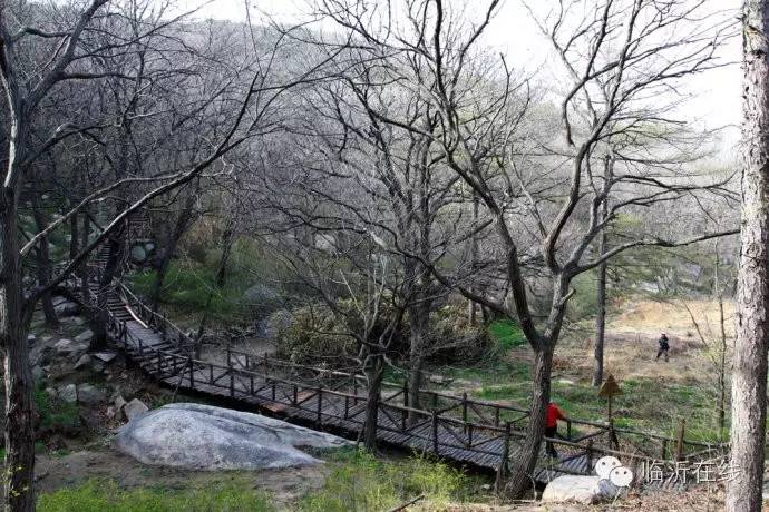 请不要听说临沂，请听临沂说......