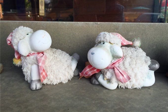 为了忘却的记忆全文,为了忘却的记忆1