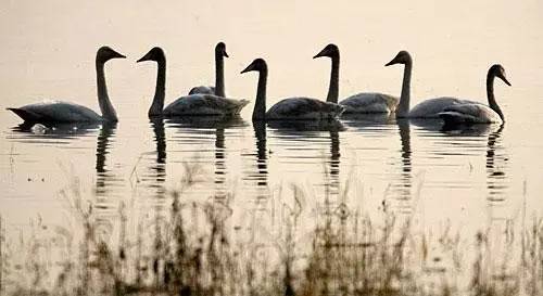 旅游河南推荐中国的迪士尼,河南多少个迪士尼乐园