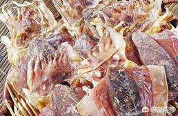 章鱼与鱿鱼的口感有什么区别,章鱼和鱿鱼吃起来的区别有哪些