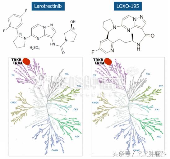 larotrectinib是靶向药吗,larotrectinib的靶向药