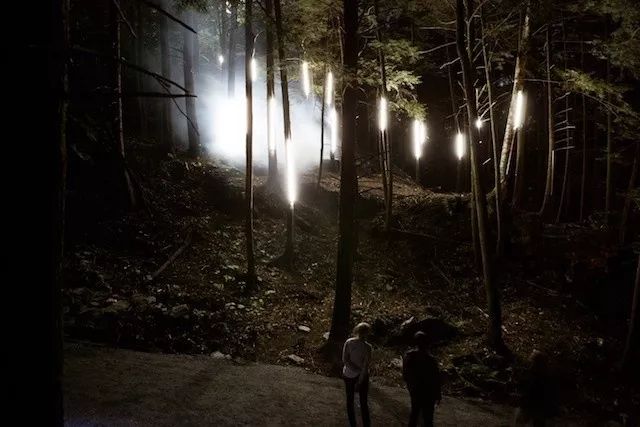 加拿大奇幻森林,加拿大魔法森林风景