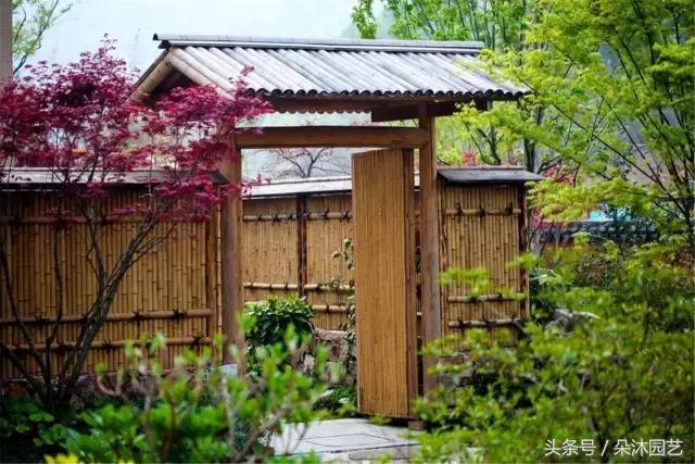 风水知识大全院子里的树,庭院里的植物风水禁忌