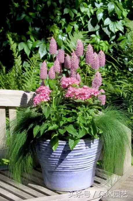 园艺插花容器,容器家庭园艺