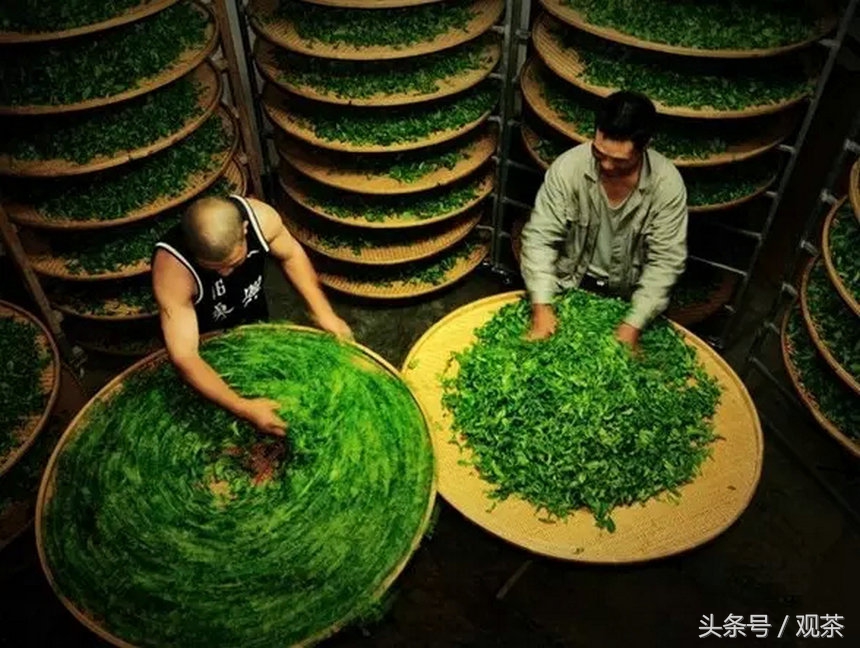 绿茶炒青和烘青工艺,炒青绿茶与烘青绿茶有什么不一样