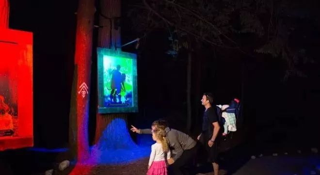 加拿大奇幻森林,加拿大魔法森林风景