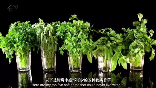 米其林大师做菜技巧图解,米其林星厨教程