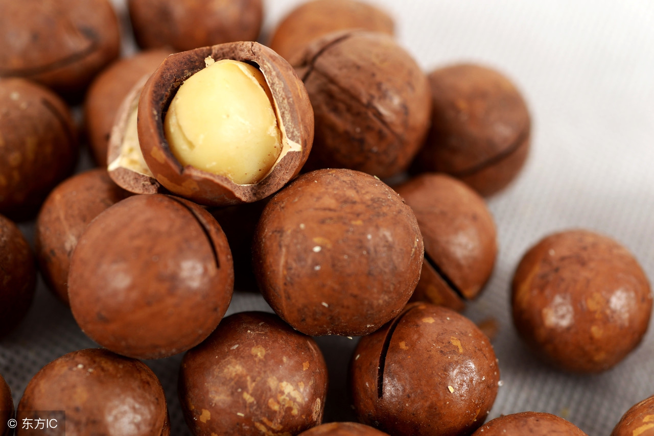 夏威夷果的正确打开方式是什么,夏威夷果为何好吃呢