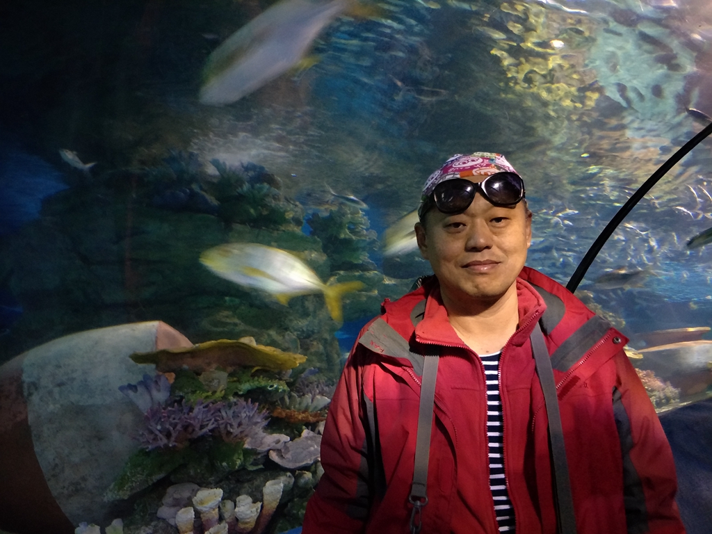 北京南到太平洋海底世界,走进太平洋海底世界视频