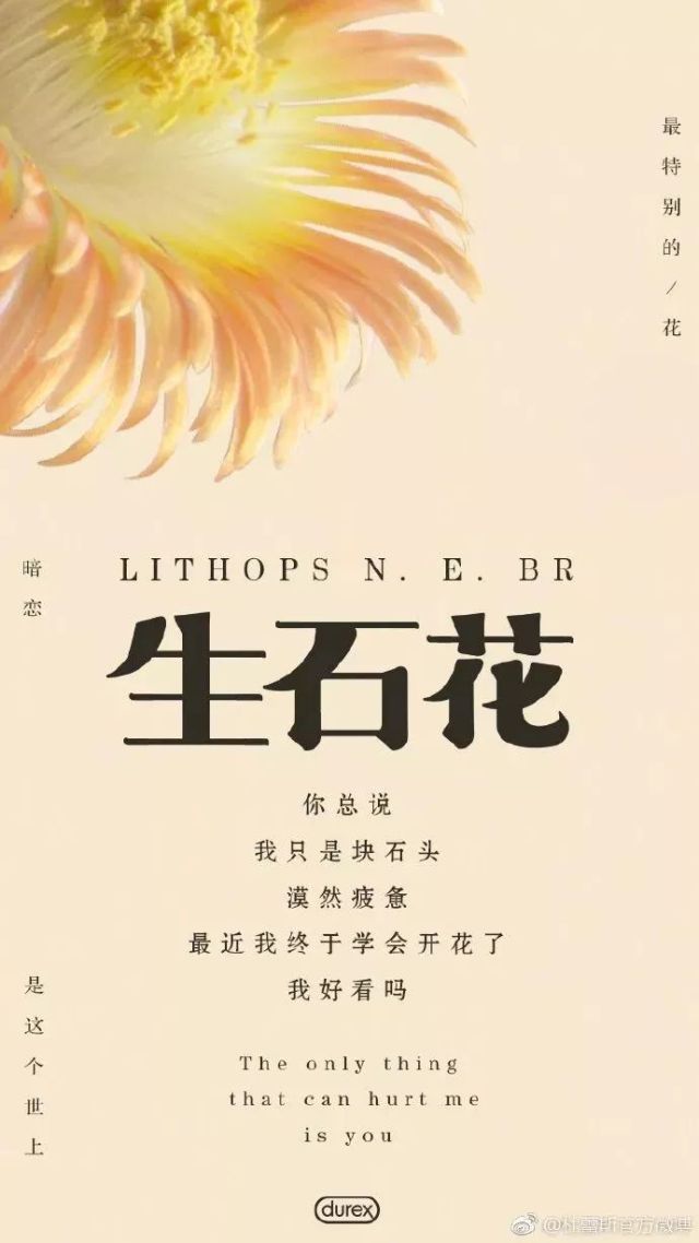 鏉滆暰鏂コ绁炶妭瑙嗛,涓冨鎯呬汉鑺傛潨钑炬柉