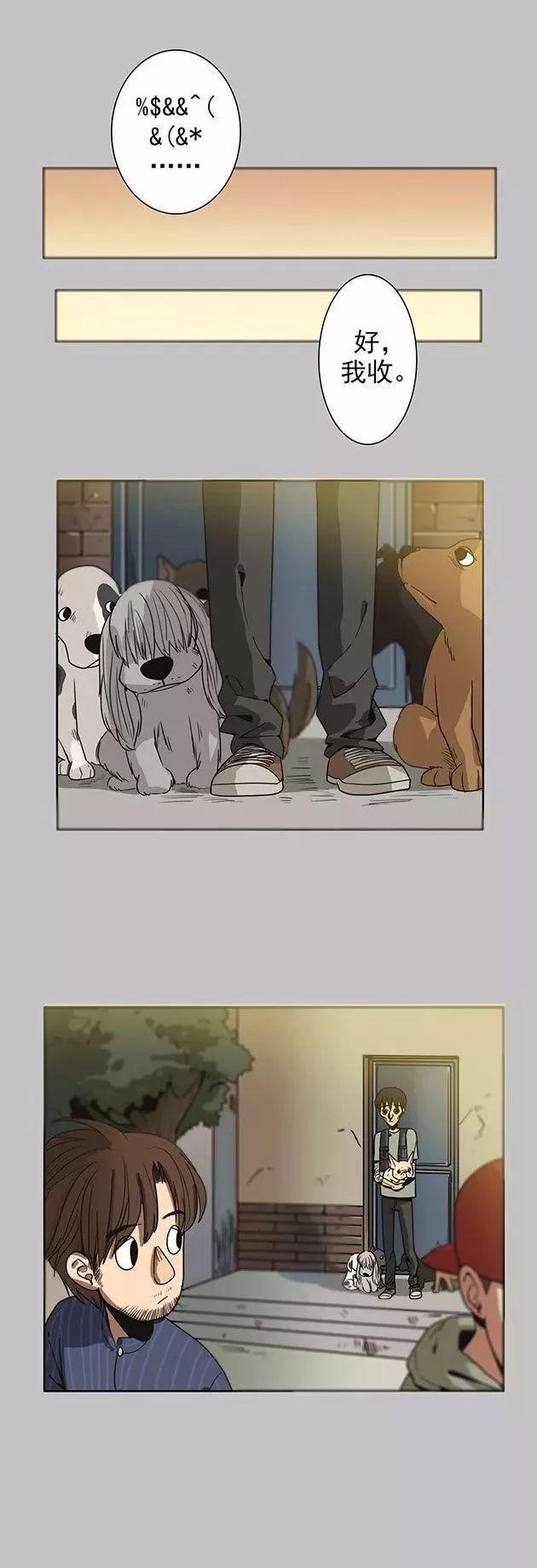 巴哥犬铲屎官漫画,铲屎官的搞笑漫画