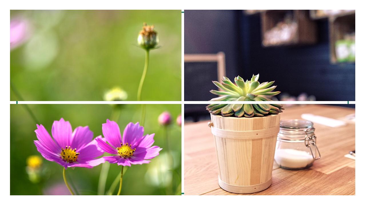 三年级孩子作业多家长可以帮助吗,小学三年级学生作业家长应该管吗