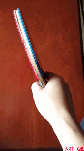 乒乓球系统训练计划明细表,乒乓球基础教练教学书籍