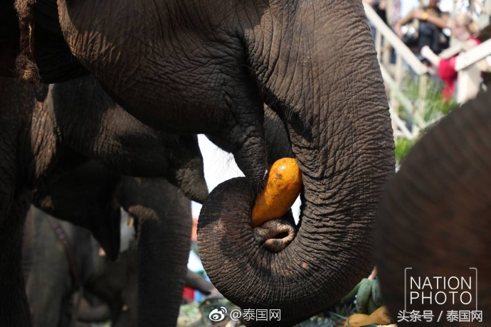 第4届泰国足球公开赛,泰国国王杯佛牌比赛