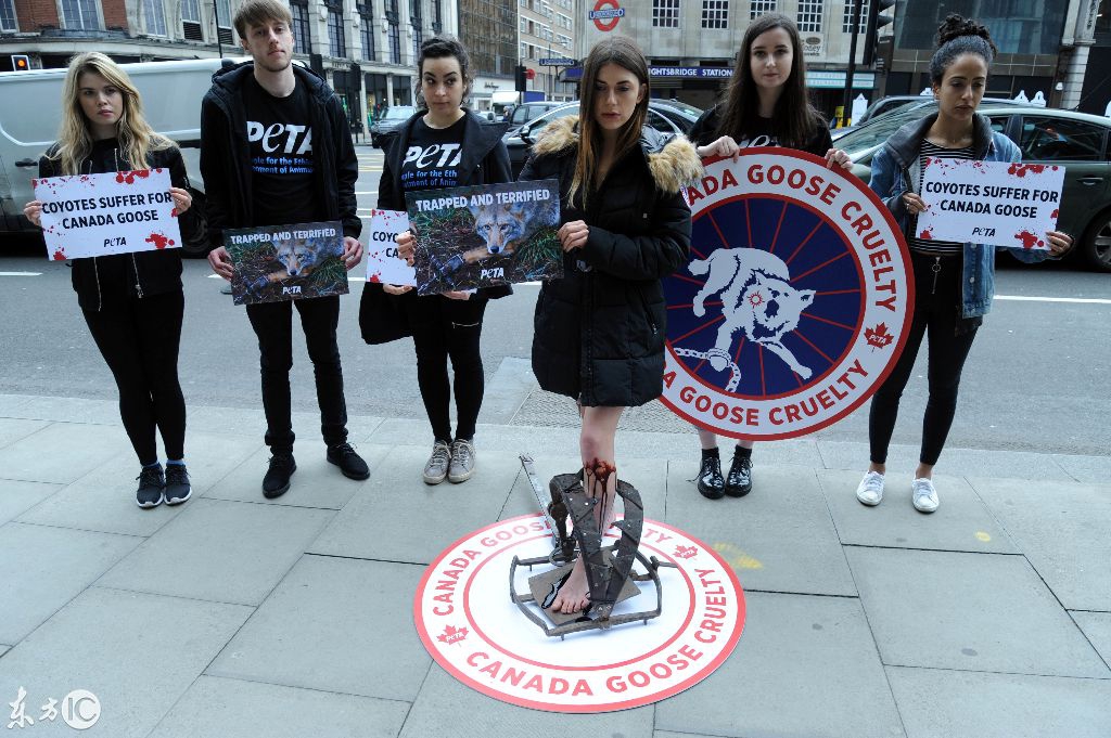 加拿大鹅是什么品牌衣服,加拿大鹅衣服为什么那么贵