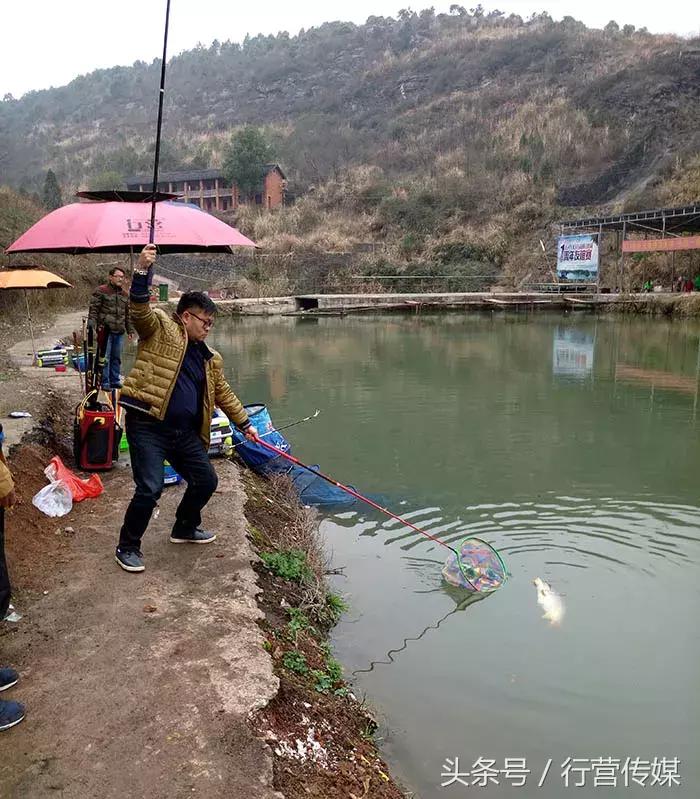 不一样的钓鱼视频,最严格的钓鱼比赛