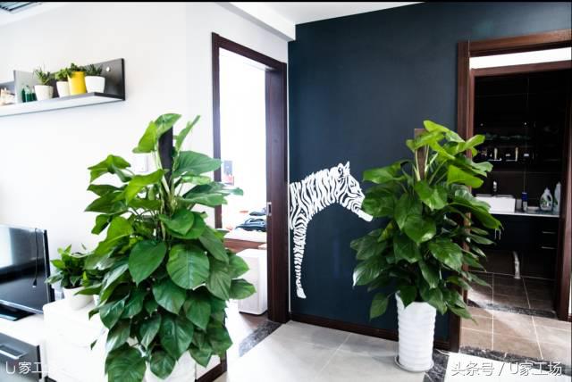 7w爆改56m²现代风，拯救小户型只需拆一堵墙！