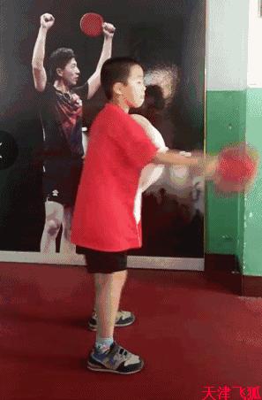 乒乓球系统训练计划明细表,乒乓球基础教练教学书籍