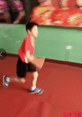 乒乓球系统训练计划明细表,乒乓球基础教练教学书籍