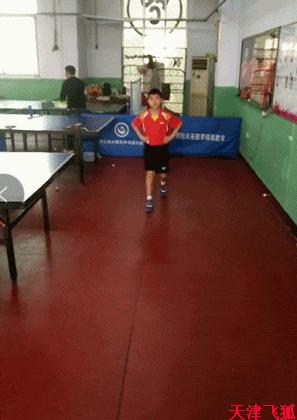 乒乓球系统训练计划明细表,乒乓球基础教练教学书籍