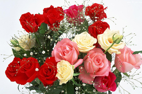 鲜花批发市场一朵花多少钱,鲜花批发一般价格怎么定的