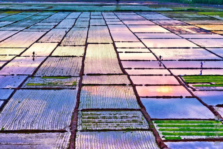 伊犁这个偏远的西部城市,新疆伊犁市靠近哪个位置