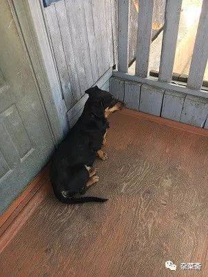 贝加尔湖寻游记,贝加尔湖的清晨和贝加尔湖畔