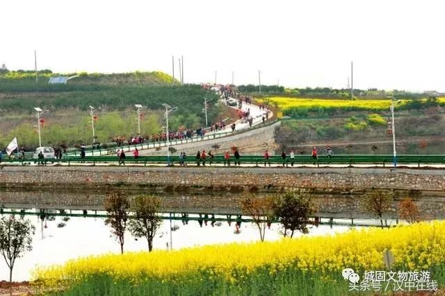 万物复苏春暖花开适合去玩的地方,花开的季节大家快来看风景