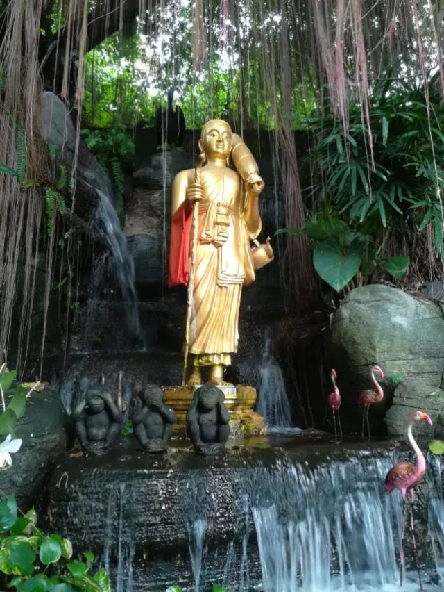 君行体验官专栏丨他在佛之国度，邂逅了一场浪漫