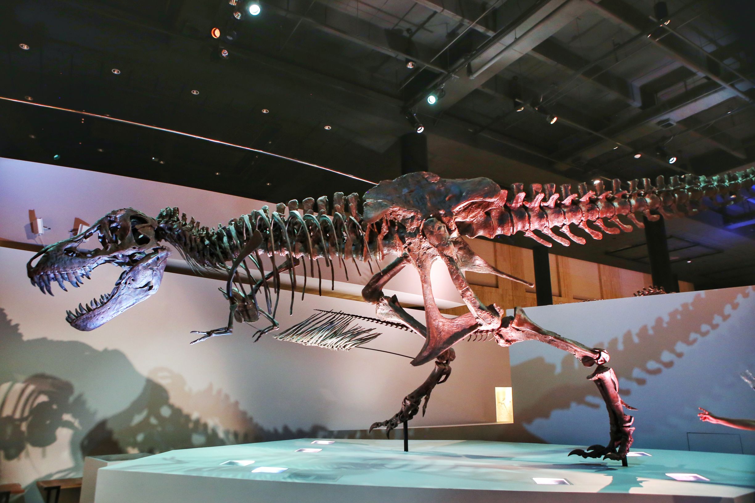 美国休斯顿:不只有火箭,看看这座城市有多强大