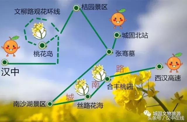 万物复苏春暖花开适合去玩的地方,花开的季节大家快来看风景