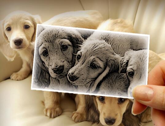 用蒙版和画笔打造人物半素描效果,滤镜让色彩画变好看