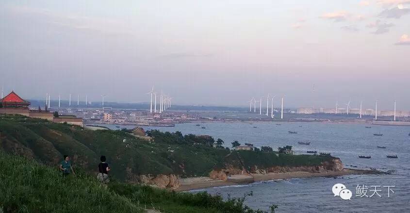 鲅鱼圈旅游攻略必去景点,鲅鱼圈旅游攻略最佳景点