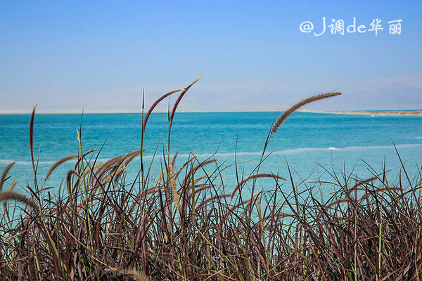 以色列死海的传奇,以色列死海底下的神秘世界