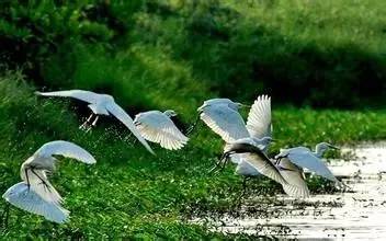 广州大热乡村旅游攻略,广州乡村游