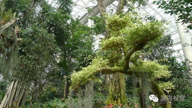 天津滨海新区亲子游玩好去处,天津滨海新区游玩好去处