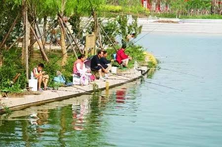 广州大热乡村旅游攻略,广州乡村游