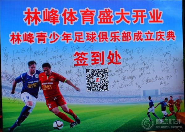 巅峰体育训练营,林峰体育