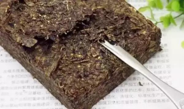 茶叶里“长虫”,你还能喝得下去吗?