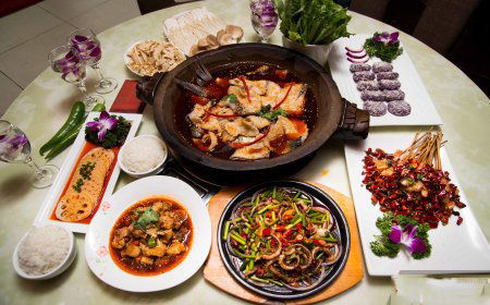 团购套餐推荐附近美食石锅鱼,荷苑附近美食团购石锅鱼